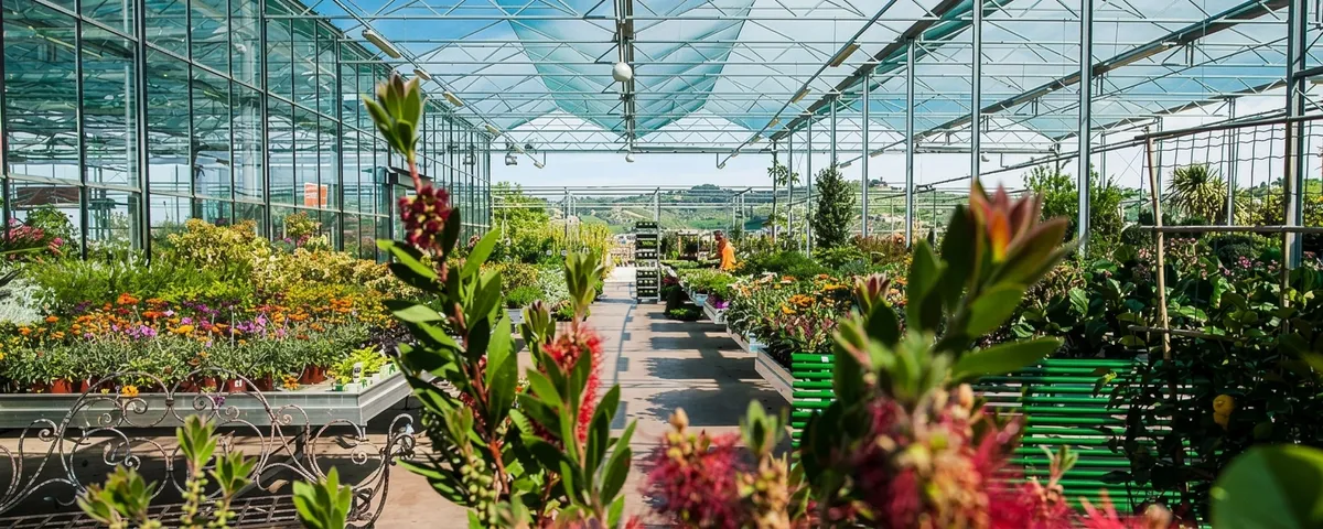 La serra vetrata della ex cantina sociale, con piante in fiore lungo il corridoio centrale