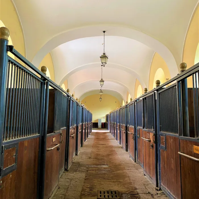 Il corridoio centrale delle Scuderie di Capodimonte, con i box in legno e ferro ai lati, la volta bianca e le lanterne appese