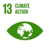 Sustainable Development Goal mark
