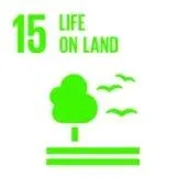 Sustainable Development Goal mark