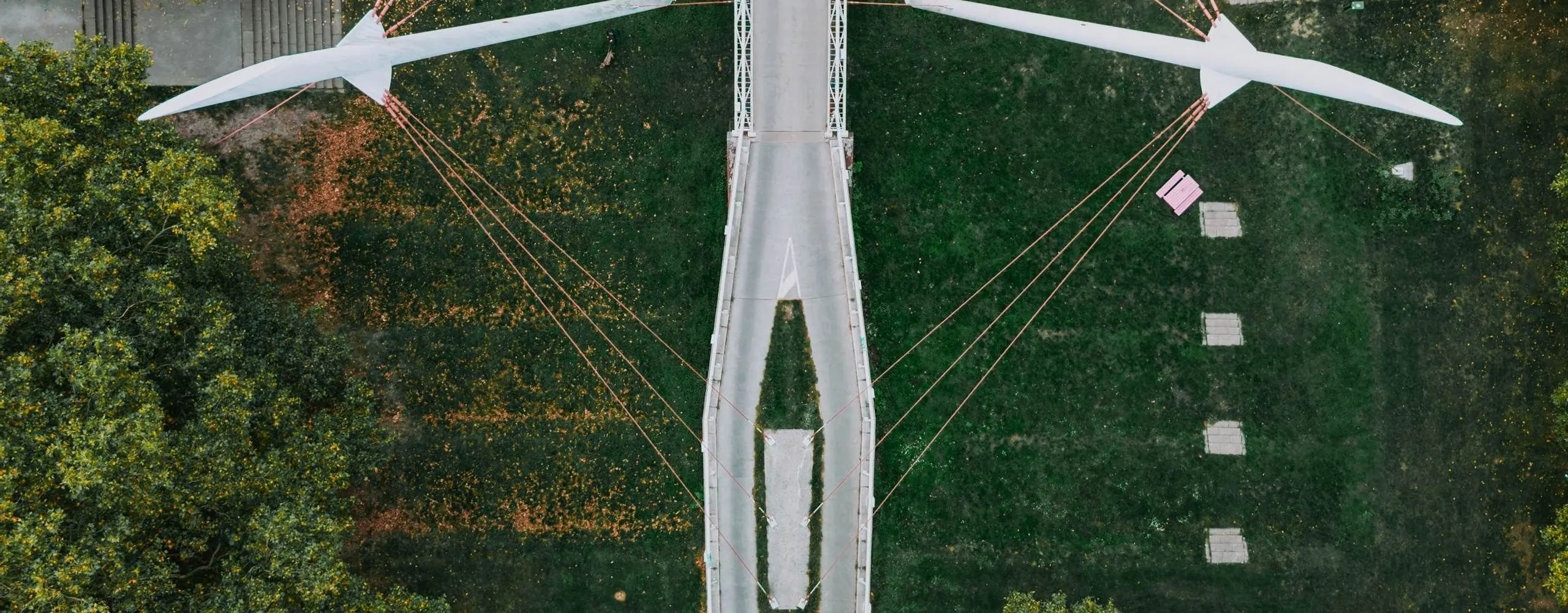 Vista aerea di un viale che attraversa un parco alberato